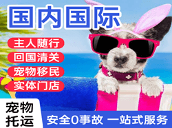 贵阳龙洞堡机场空运国际宠物托运 【国